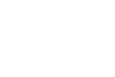 Flag Download Logo